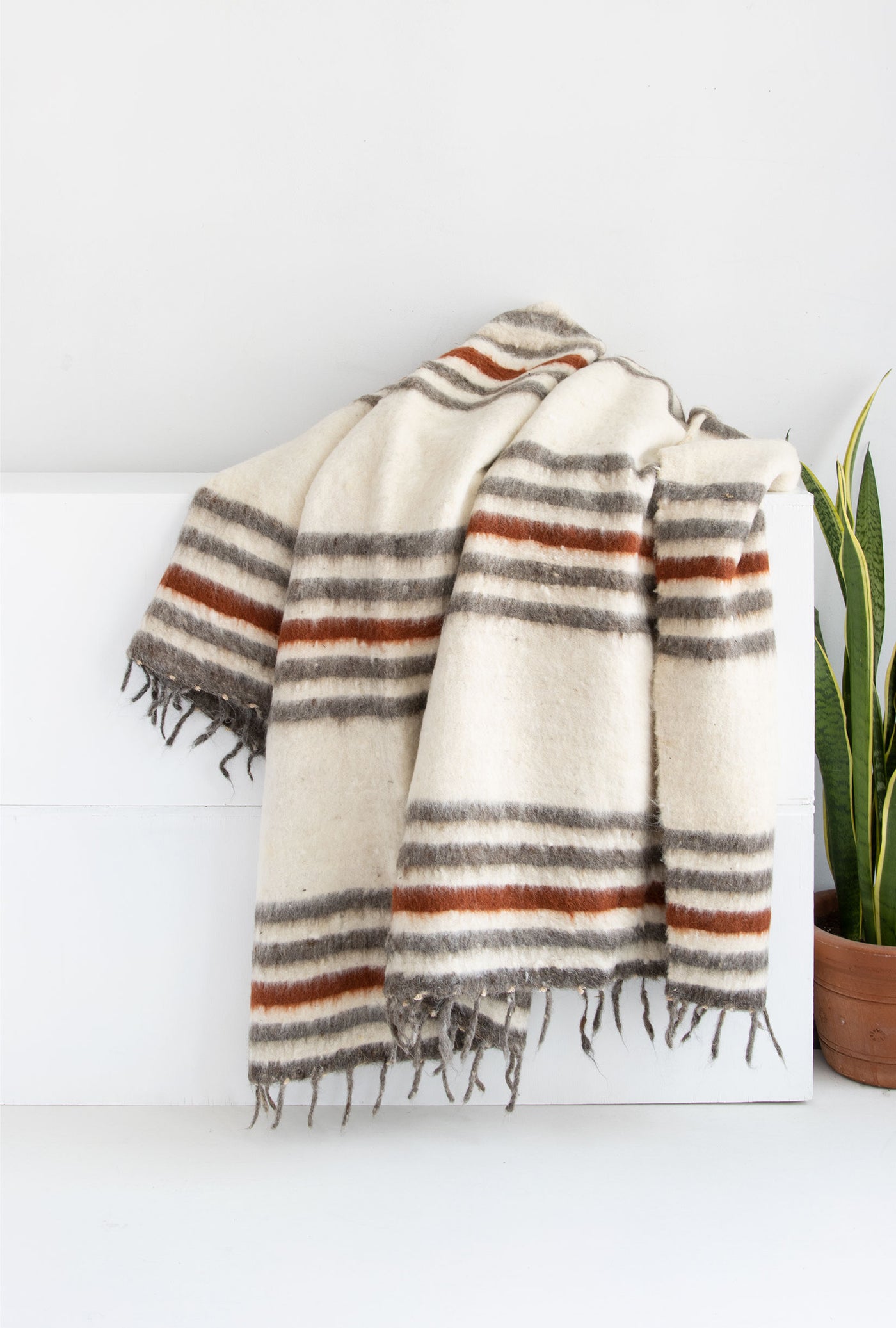 Modern Momo Blanket - throw