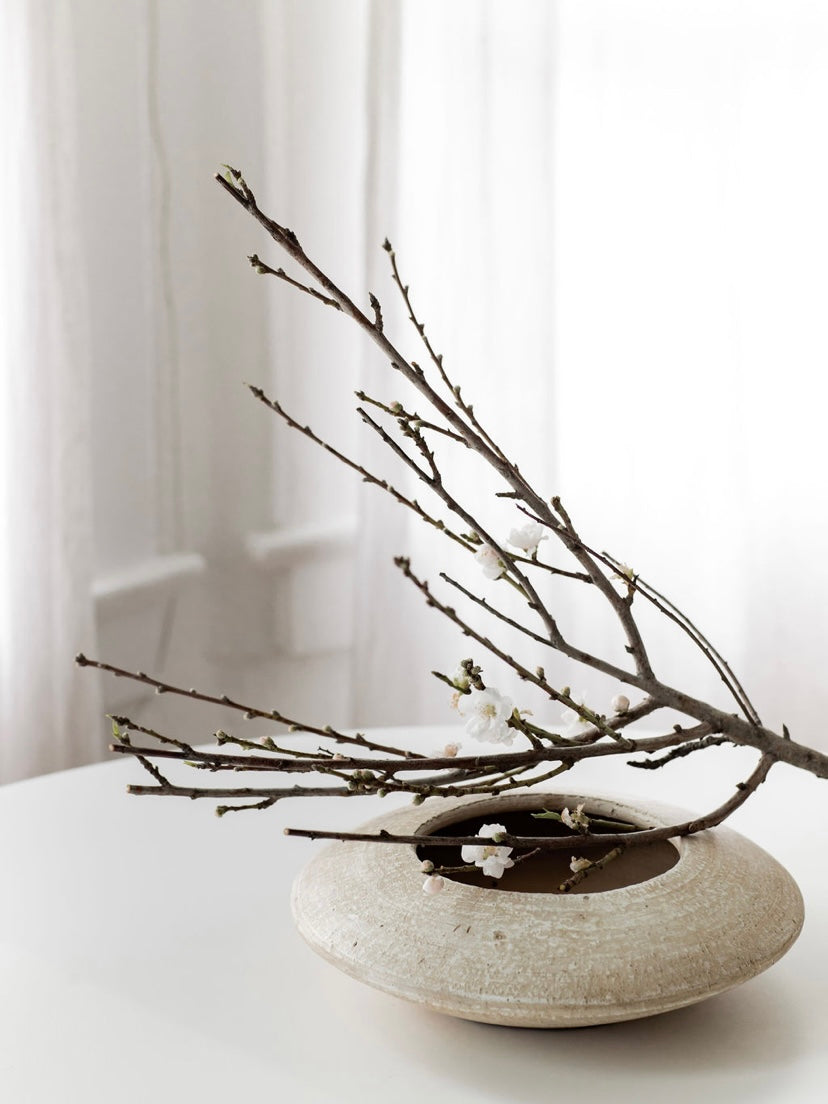 Sandollar Vase - Wheat